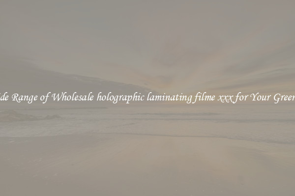 A Wide Range of Wholesale holographic laminating filme xxx for Your Greenhouse