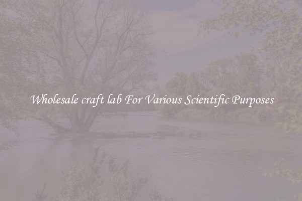 Wholesale craft lab For Various Scientific Purposes