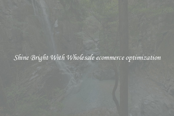 Shine Bright With Wholesale ecommerce optimization