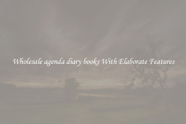 Wholesale agenda diary books With Elaborate Features