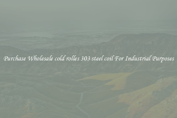 Purchase Wholesale cold rolles 303 steel coil For Industrial Purposes