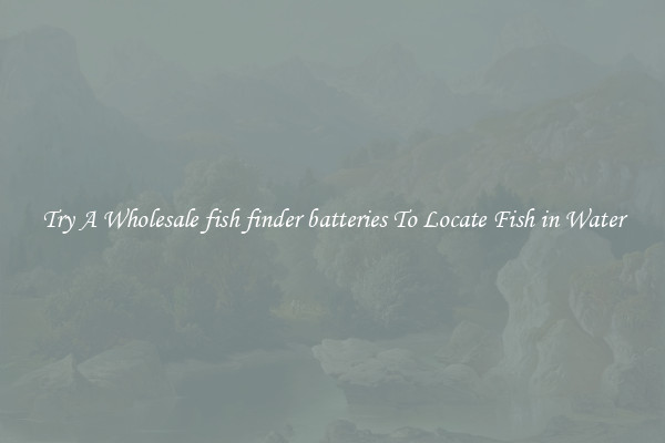 Try A Wholesale fish finder batteries To Locate Fish in Water