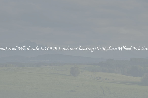 Featured Wholesale ts16949 tensioner bearing To Reduce Wheel Friction 