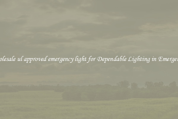 Wholesale ul approved emergency light for Dependable Lighting in Emergencies