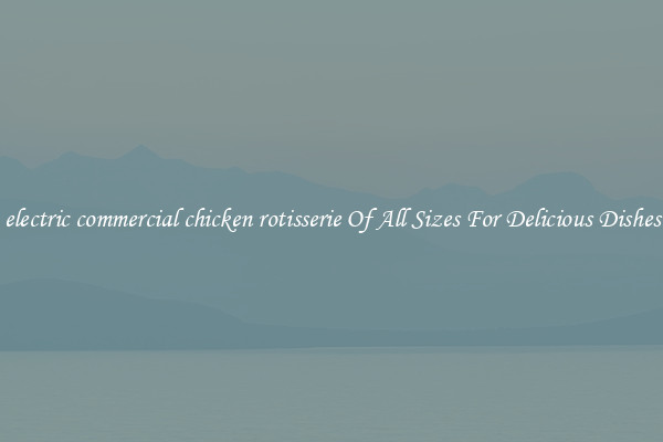 electric commercial chicken rotisserie Of All Sizes For Delicious Dishes