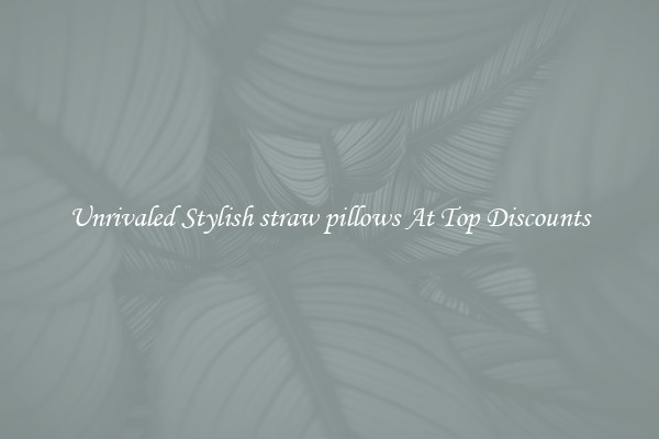 Unrivaled Stylish straw pillows At Top Discounts