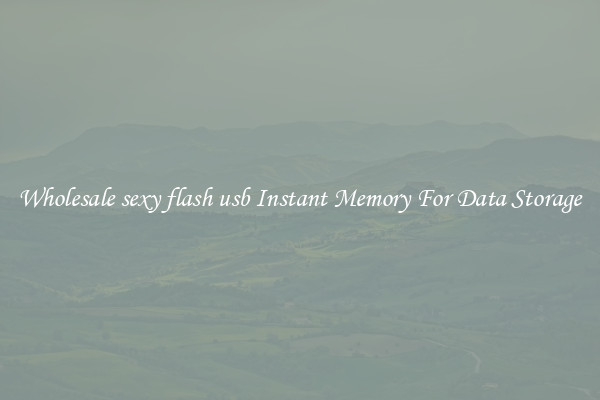 Wholesale sexy flash usb Instant Memory For Data Storage