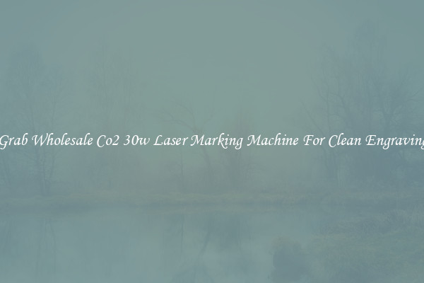 Grab Wholesale Co2 30w Laser Marking Machine For Clean Engraving
