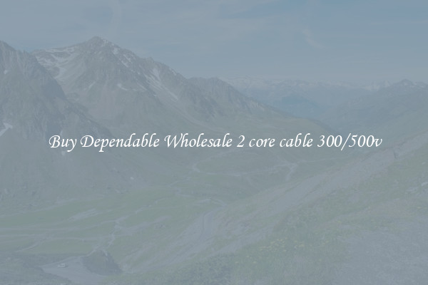 Buy Dependable Wholesale 2 core cable 300/500v