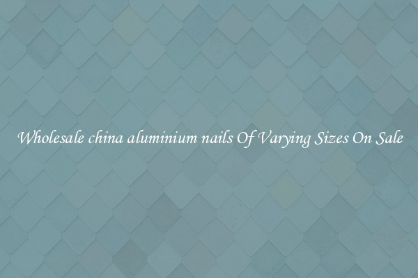 Wholesale china aluminium nails Of Varying Sizes On Sale