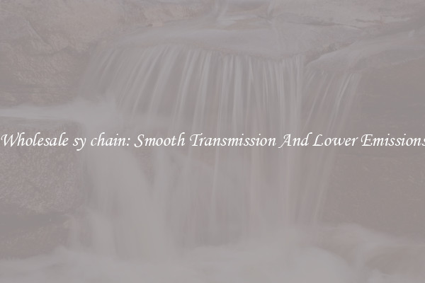 Wholesale sy chain: Smooth Transmission And Lower Emissions