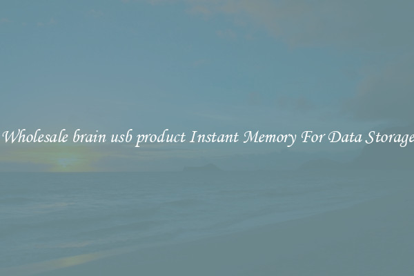 Wholesale brain usb product Instant Memory For Data Storage