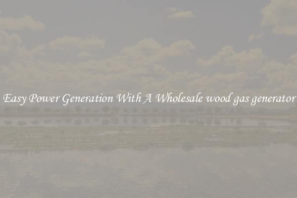 Easy Power Generation With A Wholesale wood gas generator