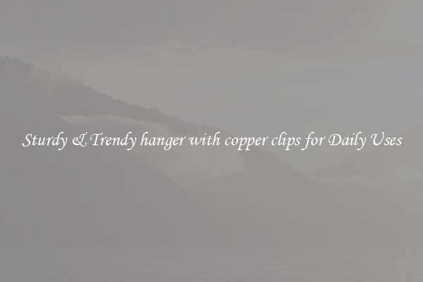 Sturdy & Trendy hanger with copper clips for Daily Uses
