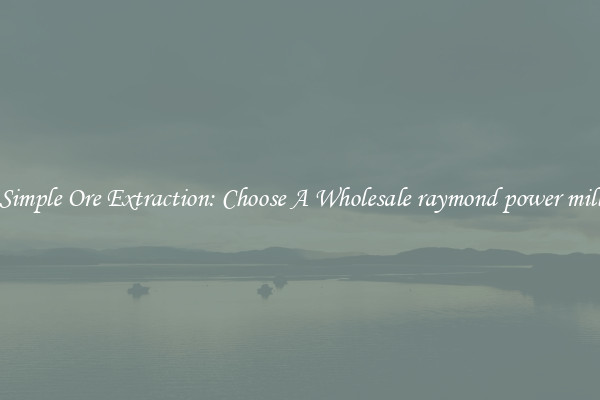 Simple Ore Extraction: Choose A Wholesale raymond power mill