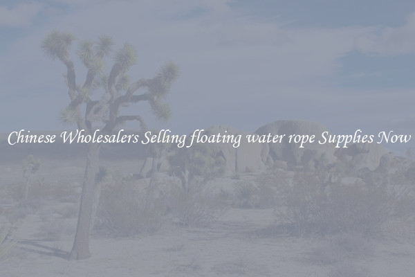 Chinese Wholesalers Selling floating water rope Supplies Now