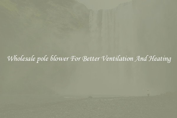 Wholesale pole blower For Better Ventilation And Heating