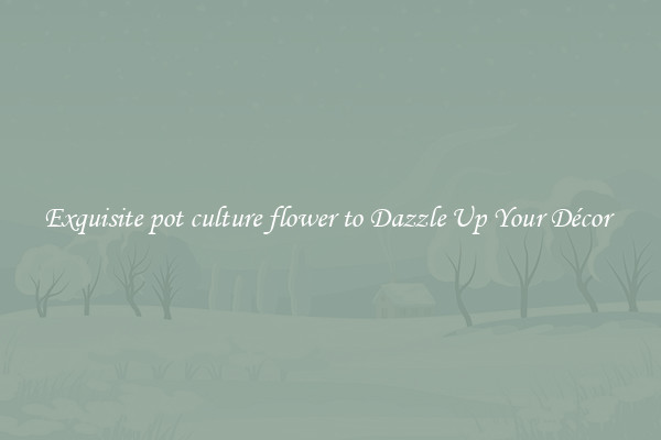 Exquisite pot culture flower to Dazzle Up Your Décor 