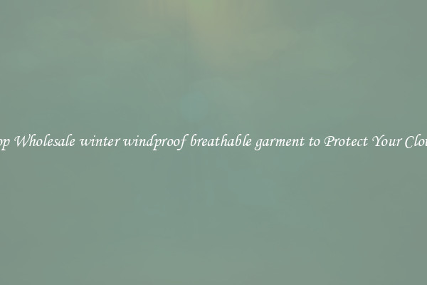 Shop Wholesale winter windproof breathable garment to Protect Your Clothes