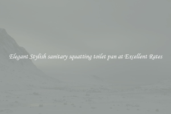 Elegant Stylish sanitary squatting toilet pan at Excellent Rates