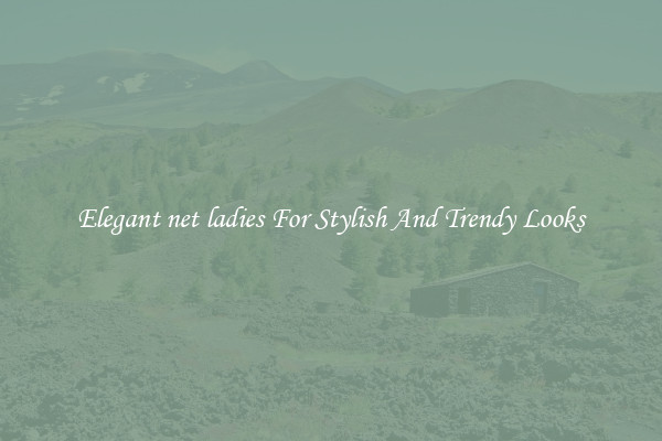 Elegant net ladies For Stylish And Trendy Looks
