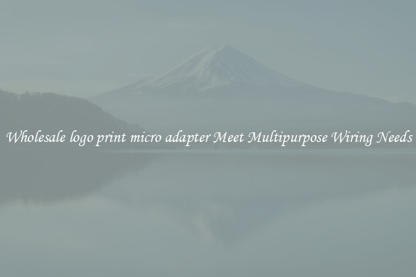 Wholesale logo print micro adapter Meet Multipurpose Wiring Needs