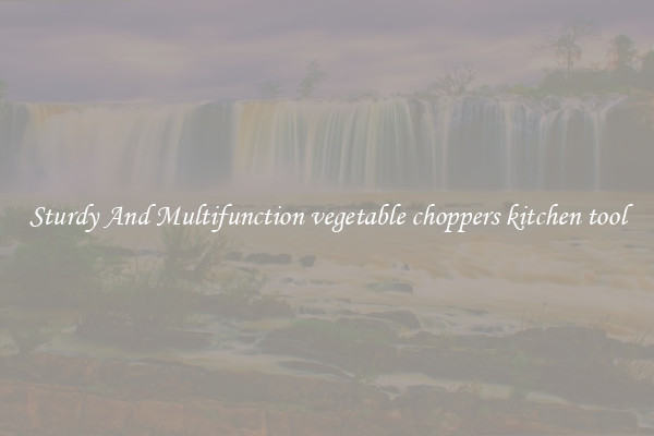 Sturdy And Multifunction vegetable choppers kitchen tool