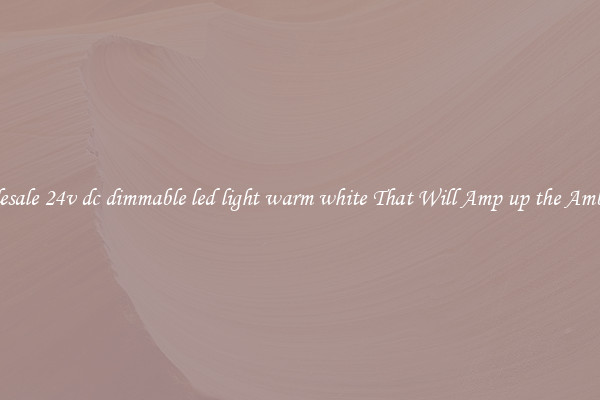 Wholesale 24v dc dimmable led light warm white That Will Amp up the Ambiance