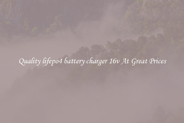 Quality lifepo4 battery charger 16v At Great Prices