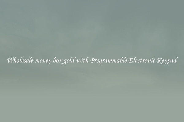 Wholesale money box gold with Programmable Electronic Keypad 