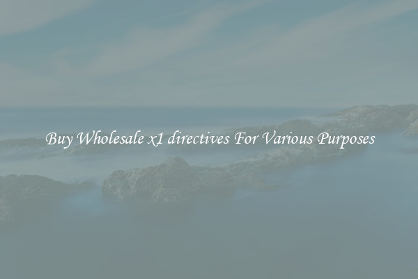 Buy Wholesale x1 directives For Various Purposes