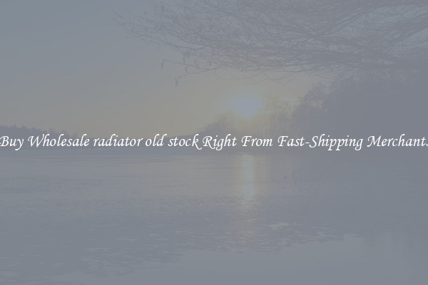 Buy Wholesale radiator old stock Right From Fast-Shipping Merchants