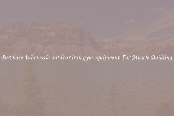 Purchase Wholesale outdoor iron gym equipment For Muscle Building.