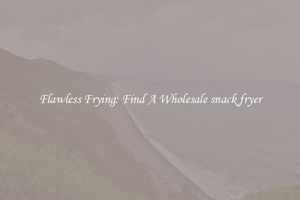 Flawless Frying: Find A Wholesale snack fryer